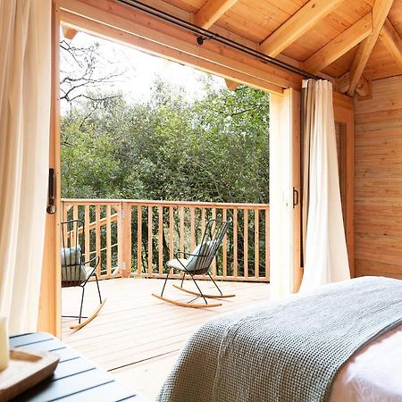 Nits De Bosc Guest House Vilassar De Dalt Екстериор снимка
