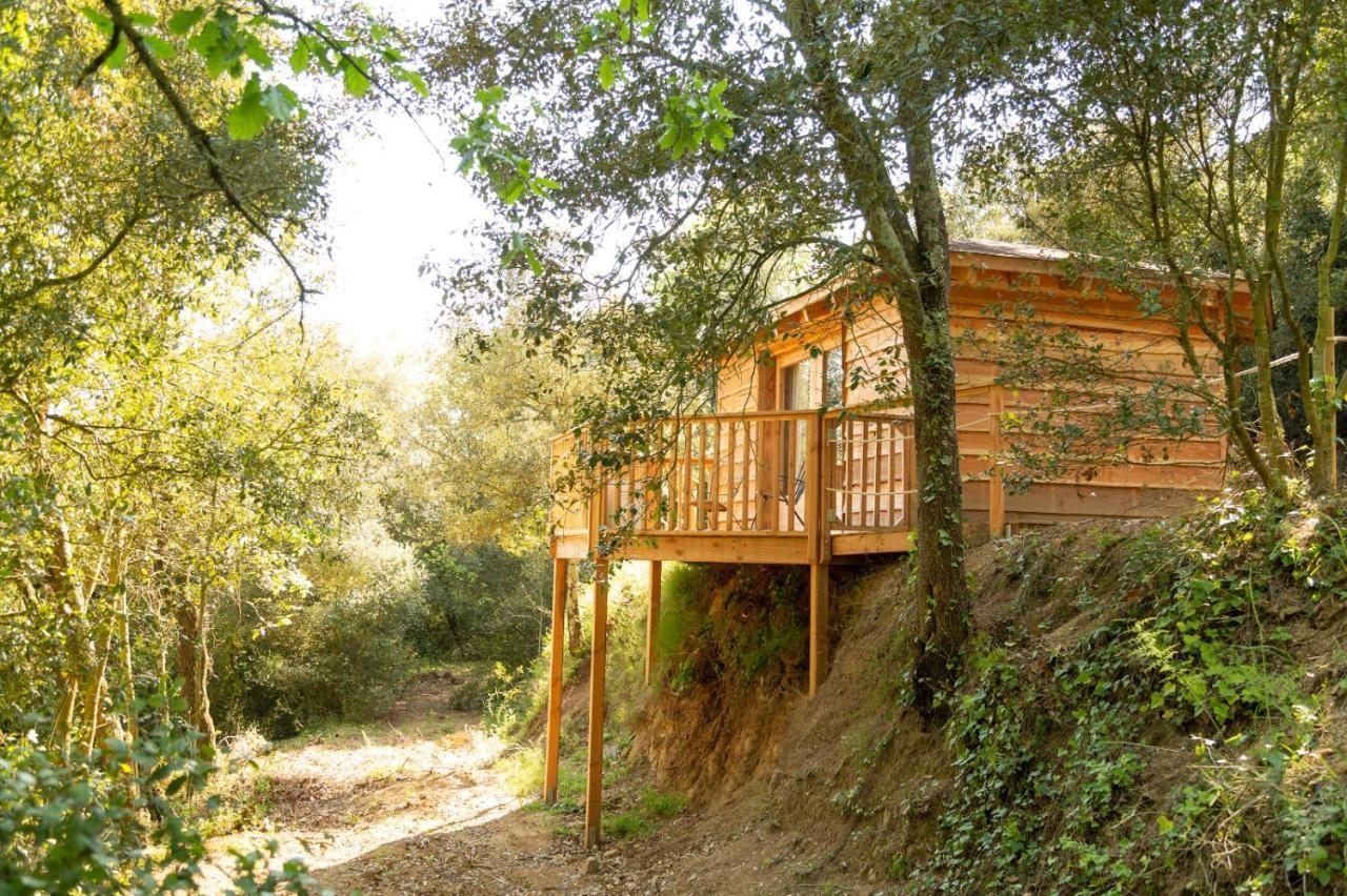 Nits De Bosc Guest House Vilassar De Dalt Екстериор снимка