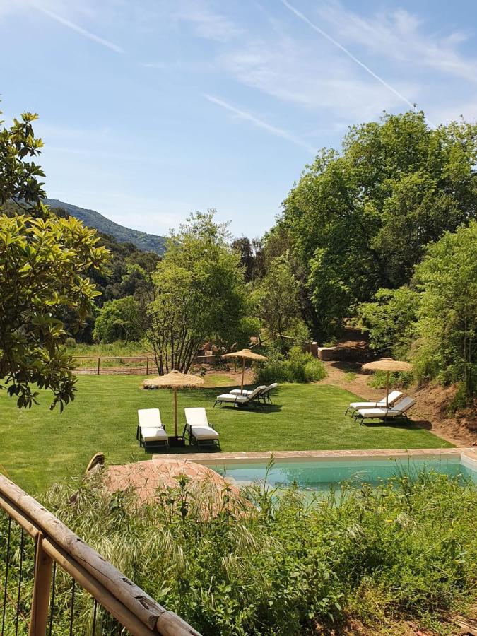 Nits De Bosc Guest House Vilassar De Dalt Екстериор снимка