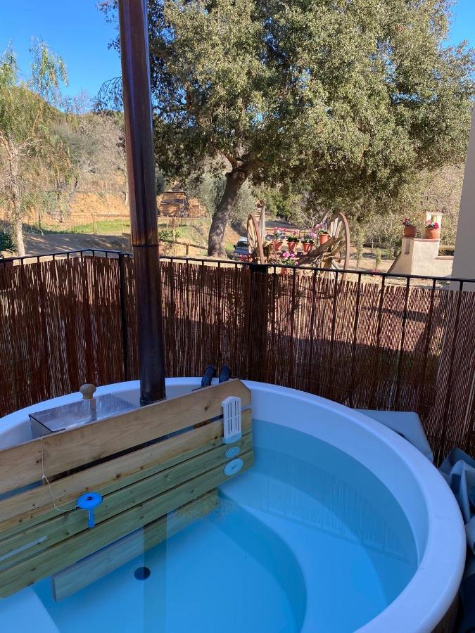 Nits De Bosc Guest House Vilassar De Dalt Екстериор снимка